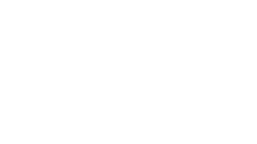 Visual Spot